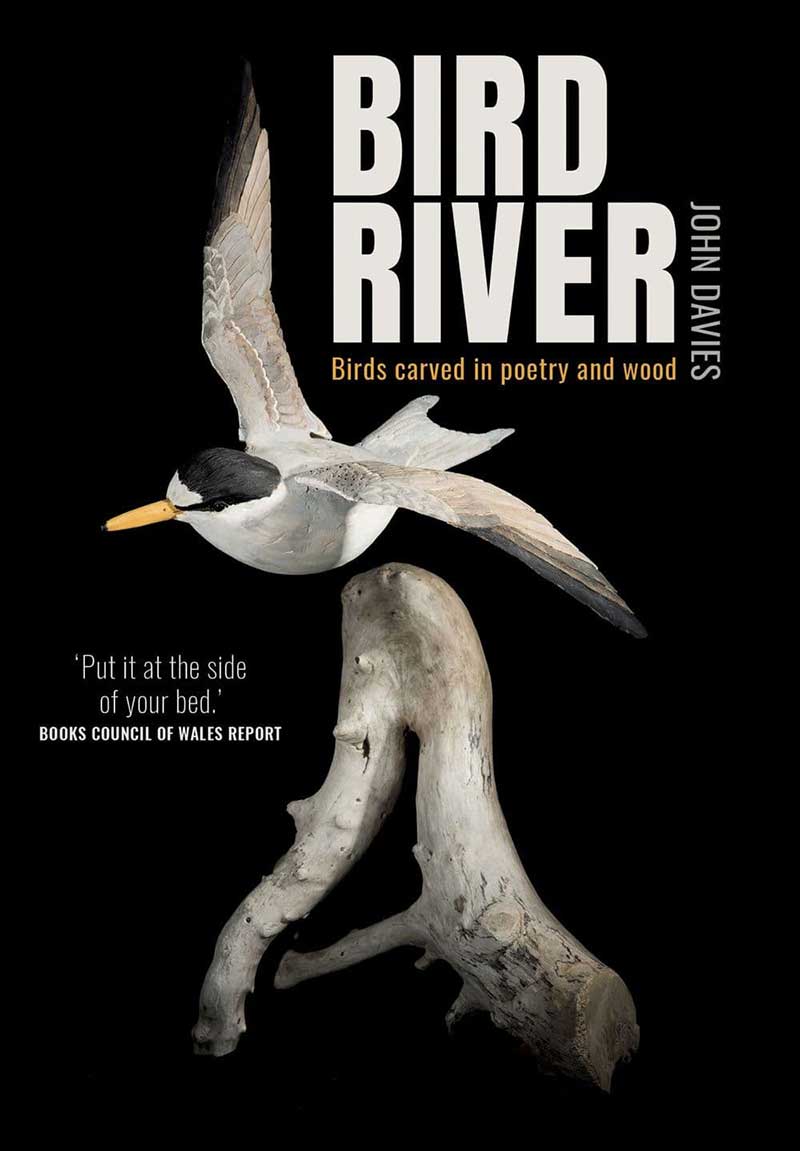 Bird River by John Davies