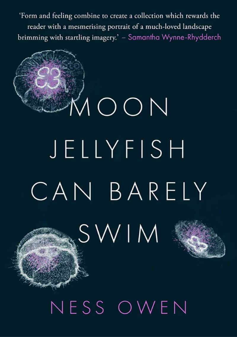 Moon Jellyfish Can Barely Swim by Ness Owen Parthian, £10.00