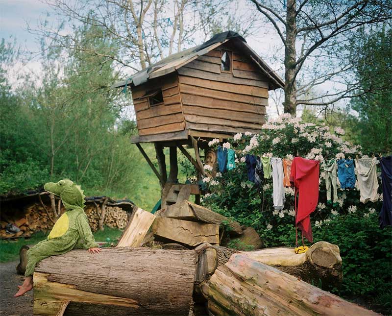 Crocodile of Pembrokeshire, 2013. Amanda Jackson, ‘To Build A Home’. 