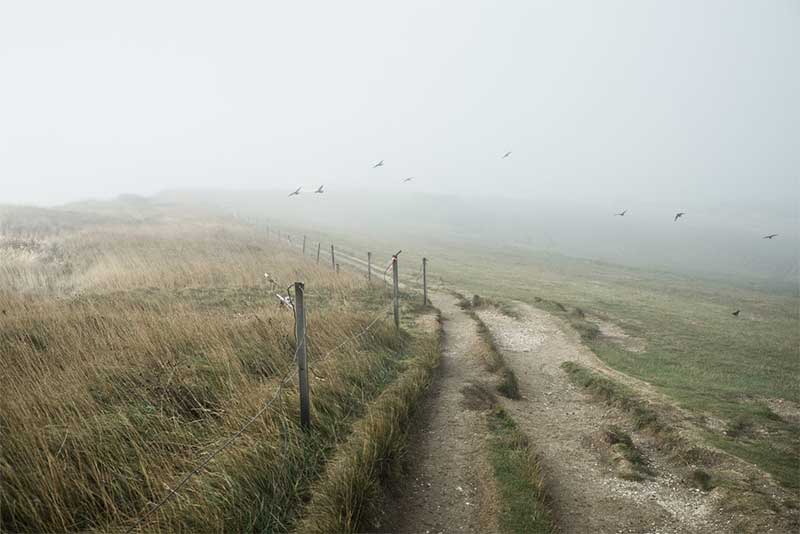 Crows. Brian David Stevens, ‘Beachy Head’. 