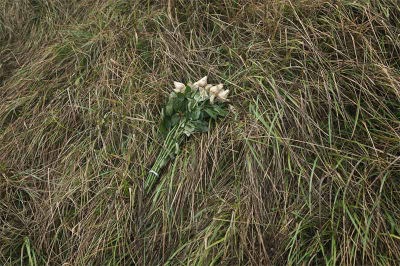 Roses left at the top of the cliff. Brian David Stevens, ‘Beachy Head’.  