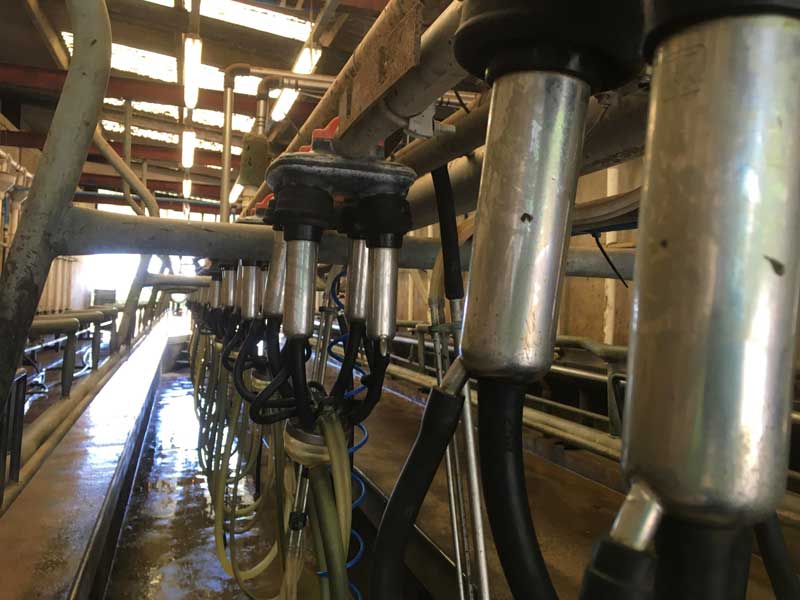  Milking parlour © Bethan Evans