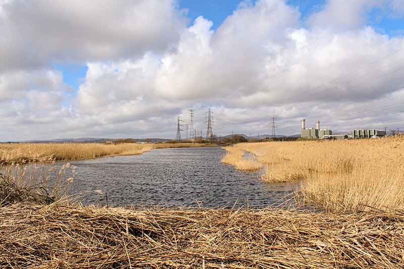 Newport Wetlands and Nature Reserve © Georgia Buchanan