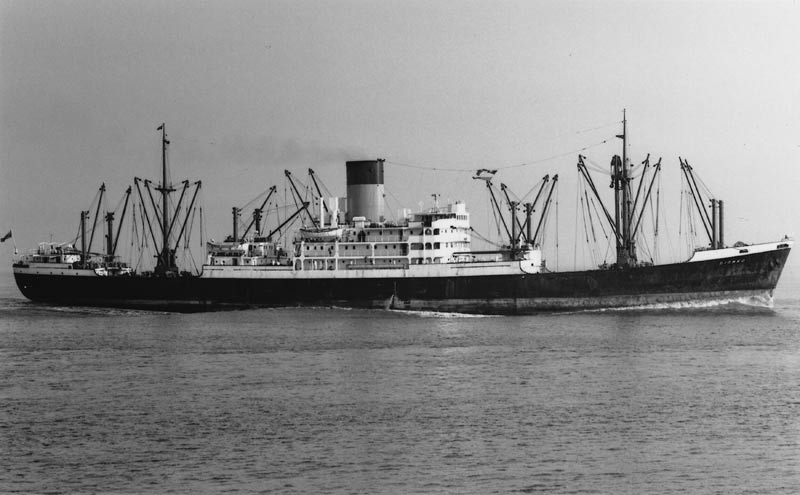 The M.V. Diomed. All photos courtesy Samantha Wynne-Rhydderch.