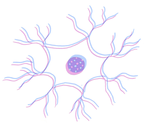 Close Up Bone Cell